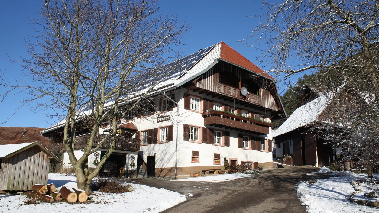 Ferien Auf Dem Bauernhof Im Schwarzwald - Grundhof In Elzach